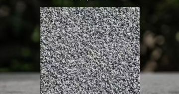 怀化 芝麻黑荔枝面