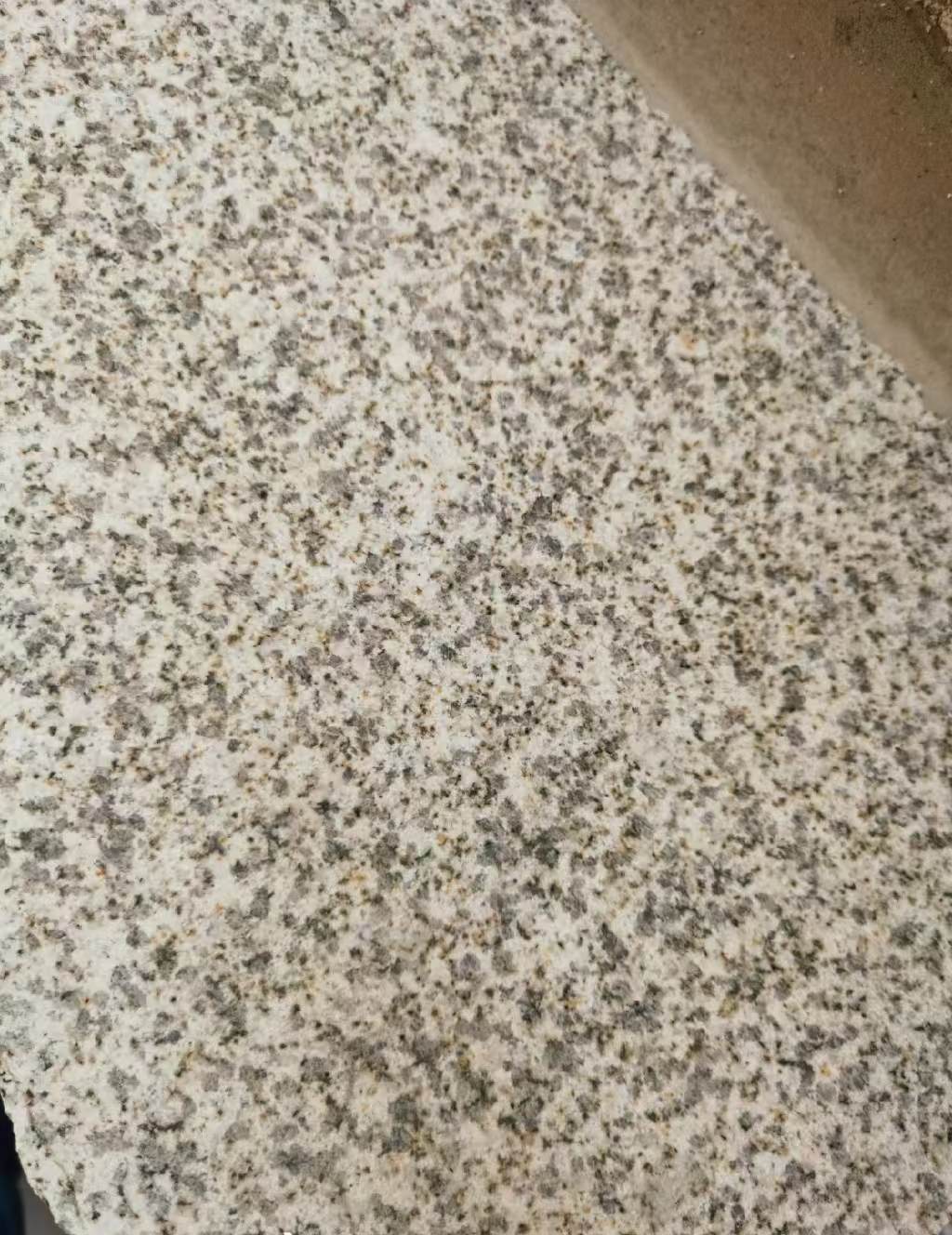 怀化 黄金麻中黄光面