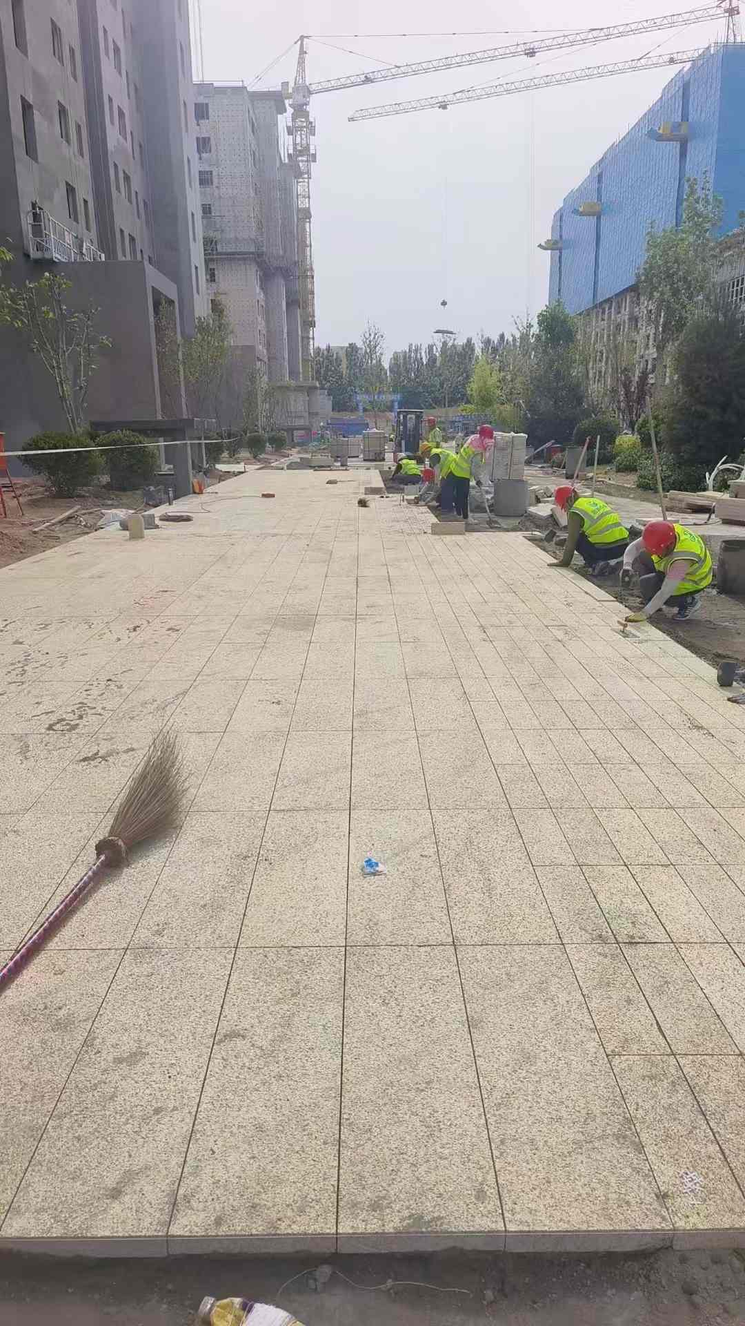 怀化黄金麻荔枝面地铺案例
